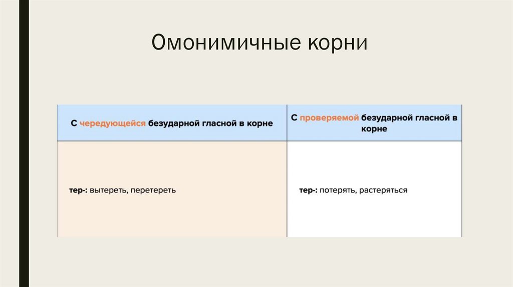 Омонимичные корни