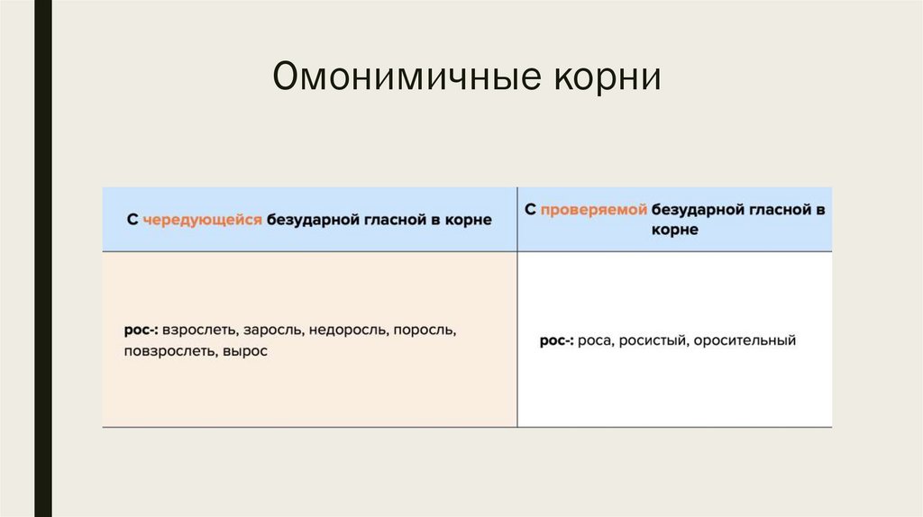 Омонимичные корни