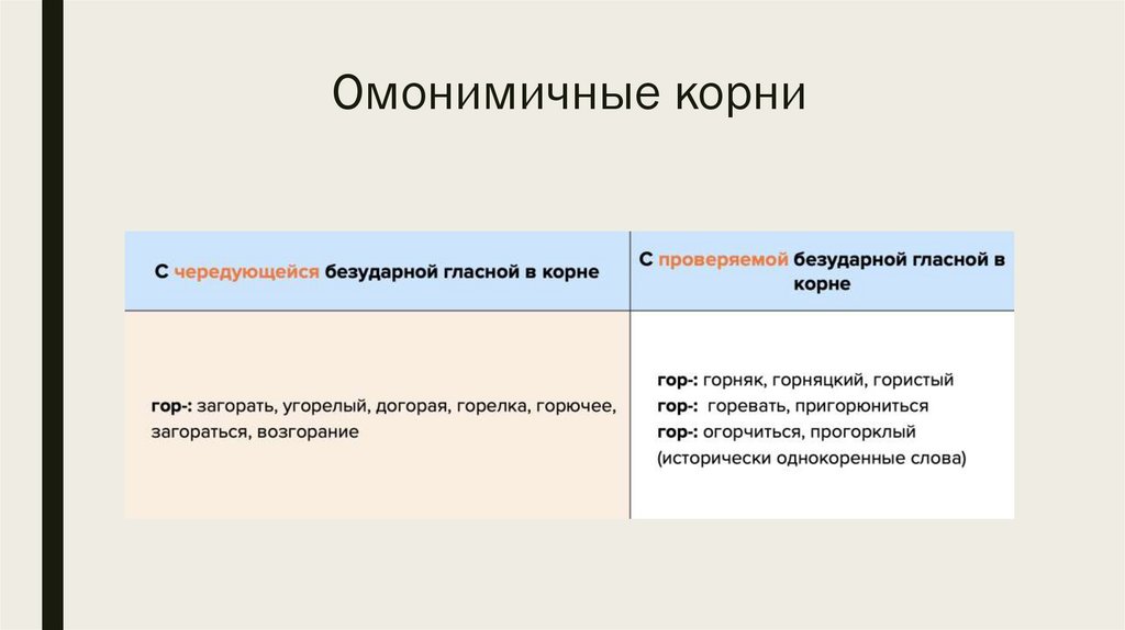 Омонимичные корни