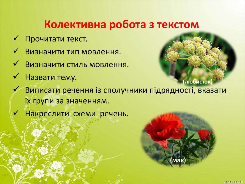 Колективна робота з текстом