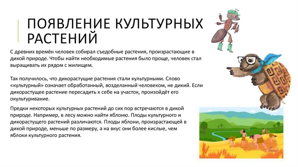 Появление культурных растений