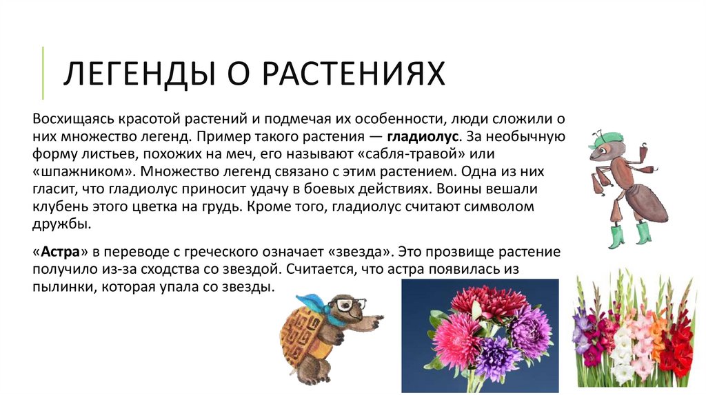 Легенды о растениях