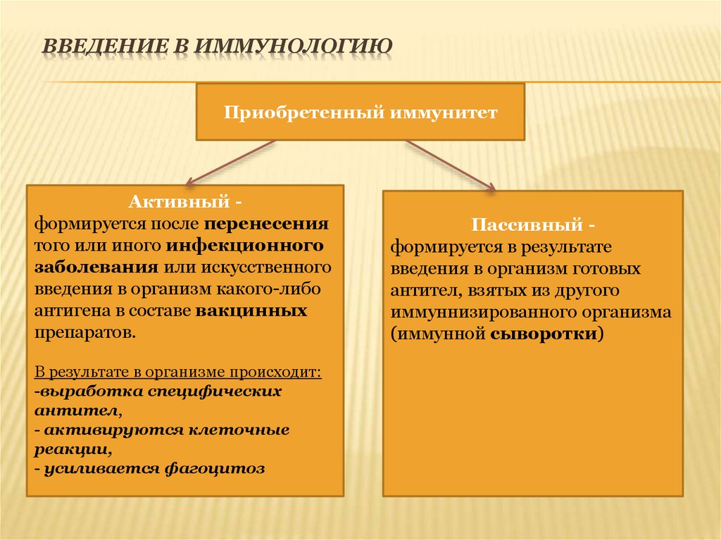 Введение в иммунологию