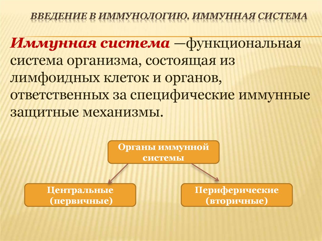 Введение в иммунологию. Иммунная система