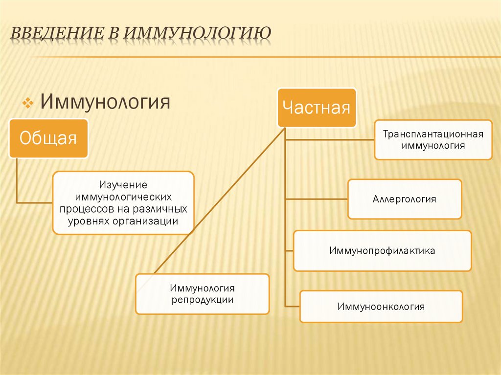 Введение в иммунологию