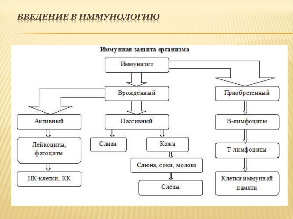 Введение в иммунологию