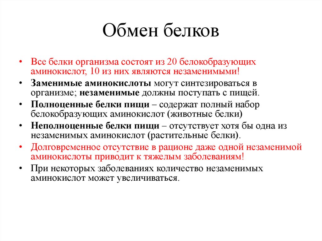 Обмен белков