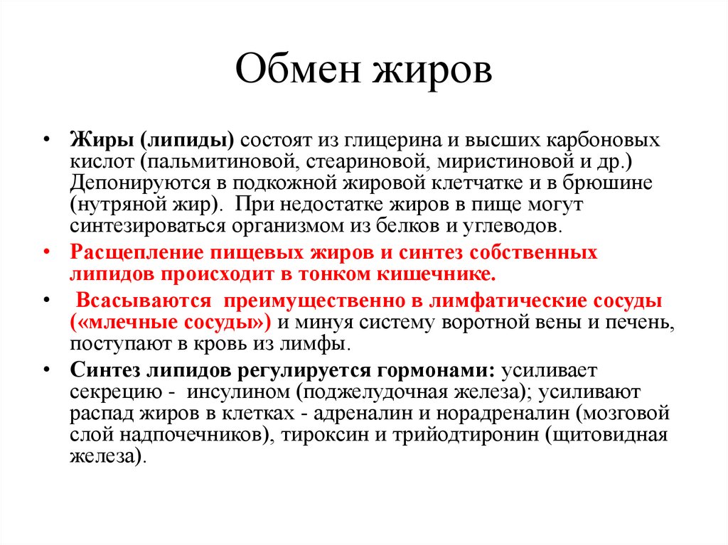 Обмен жиров