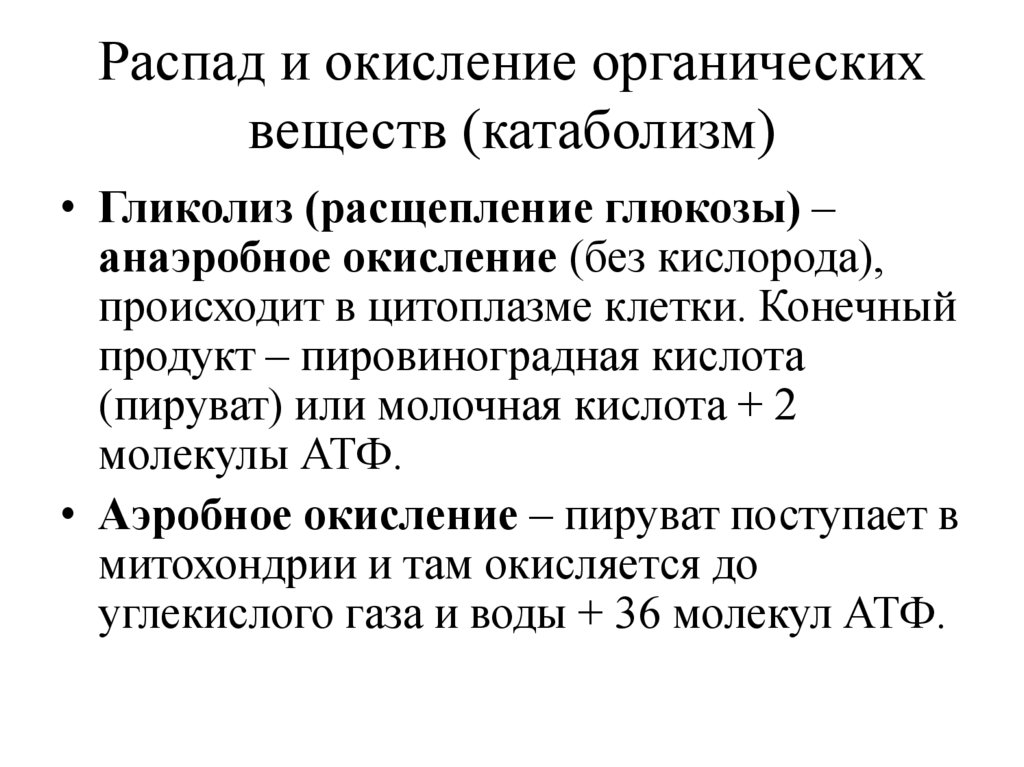 Распад и окисление органических веществ (катаболизм)
