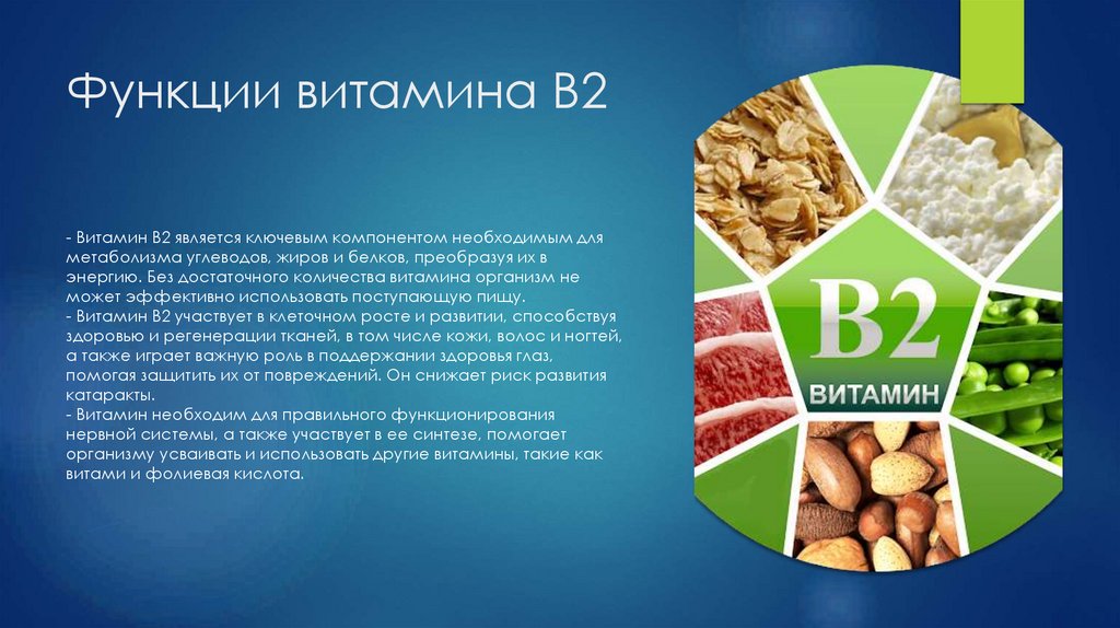 Функции витамина В2