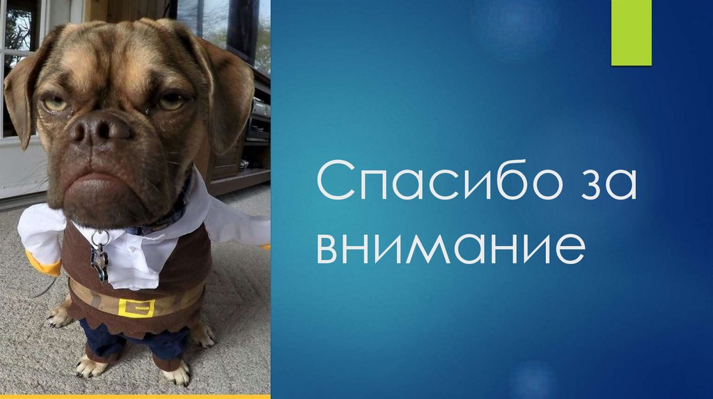 Спасибо за внимание