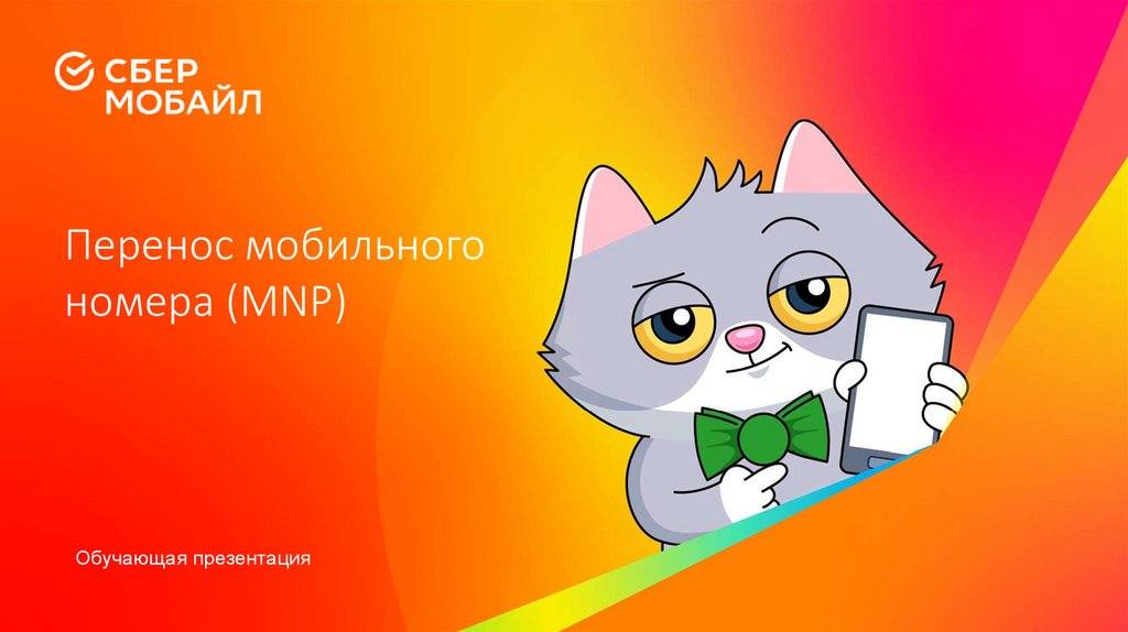 Перенос мобильного номера (MNP)