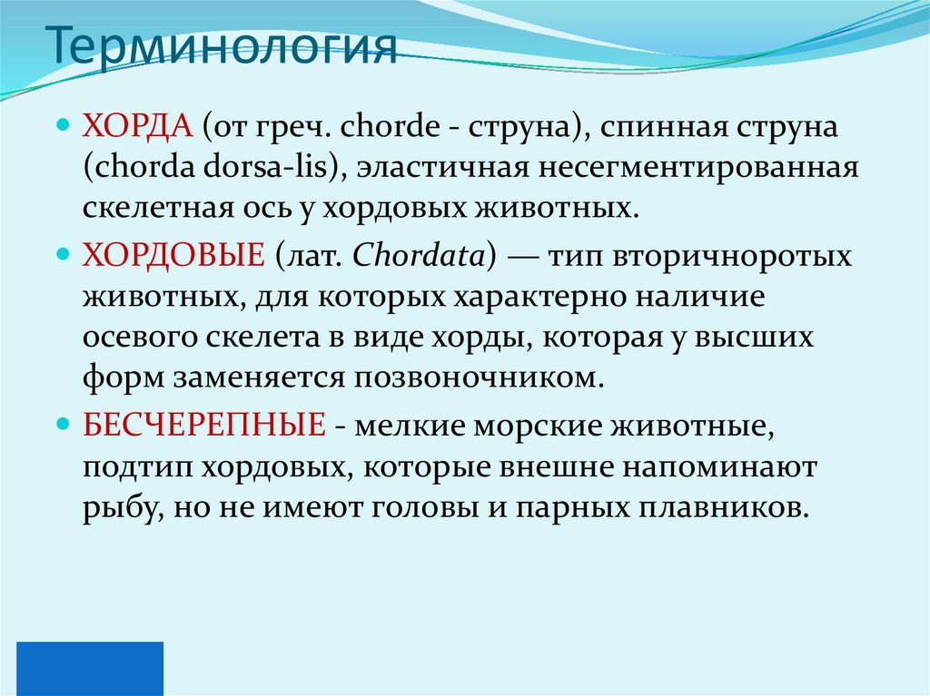 Терминология