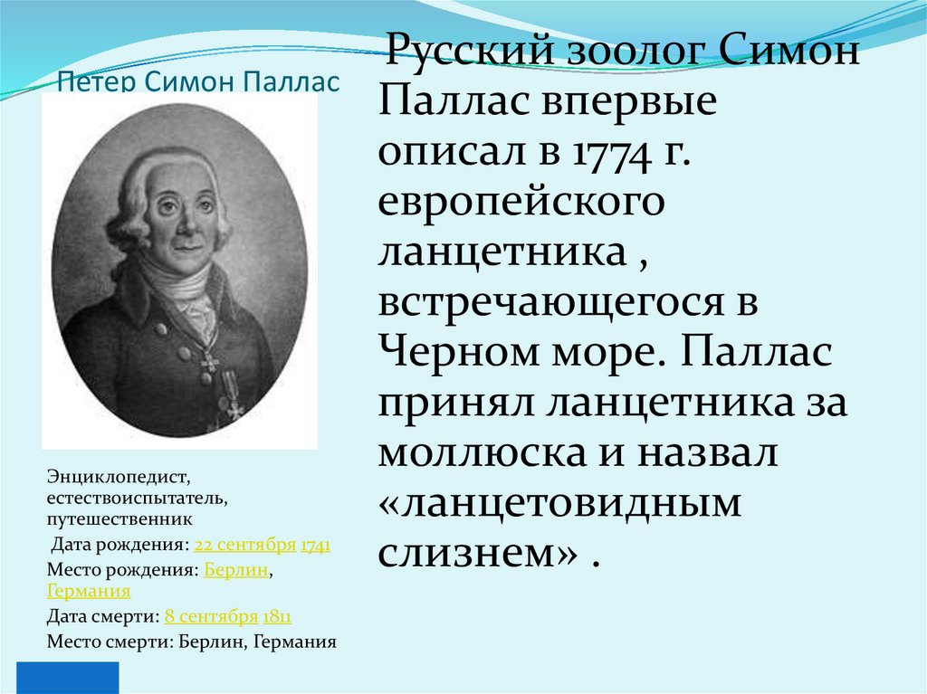 Петер Симон Паллас