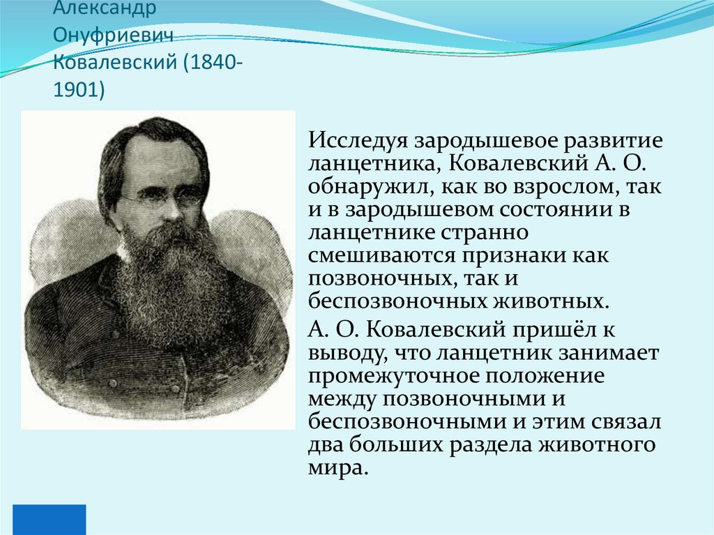 Александр Онуфриевич Ковалевский (1840-1901)