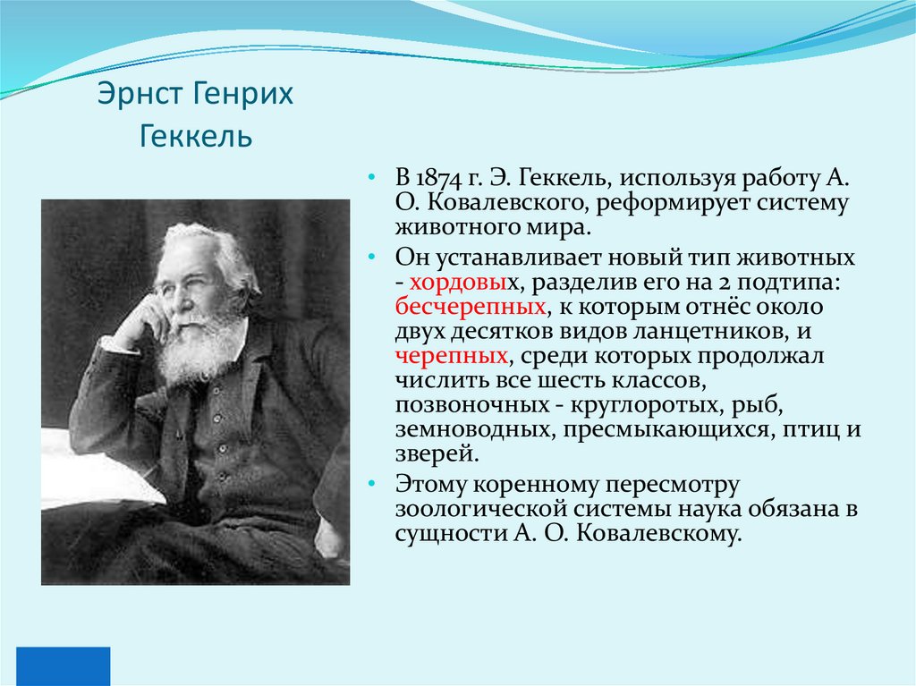 Эрнст Генрих Геккель