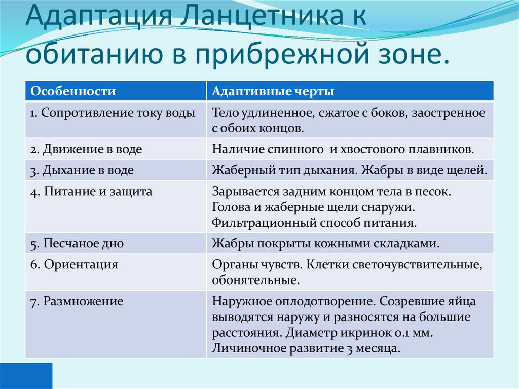 Адаптация Ланцетника к обитанию в прибрежной зоне.