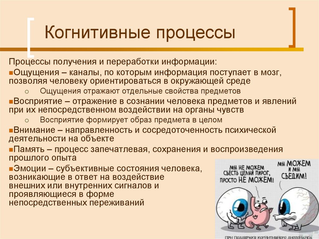 Когнитивные процессы