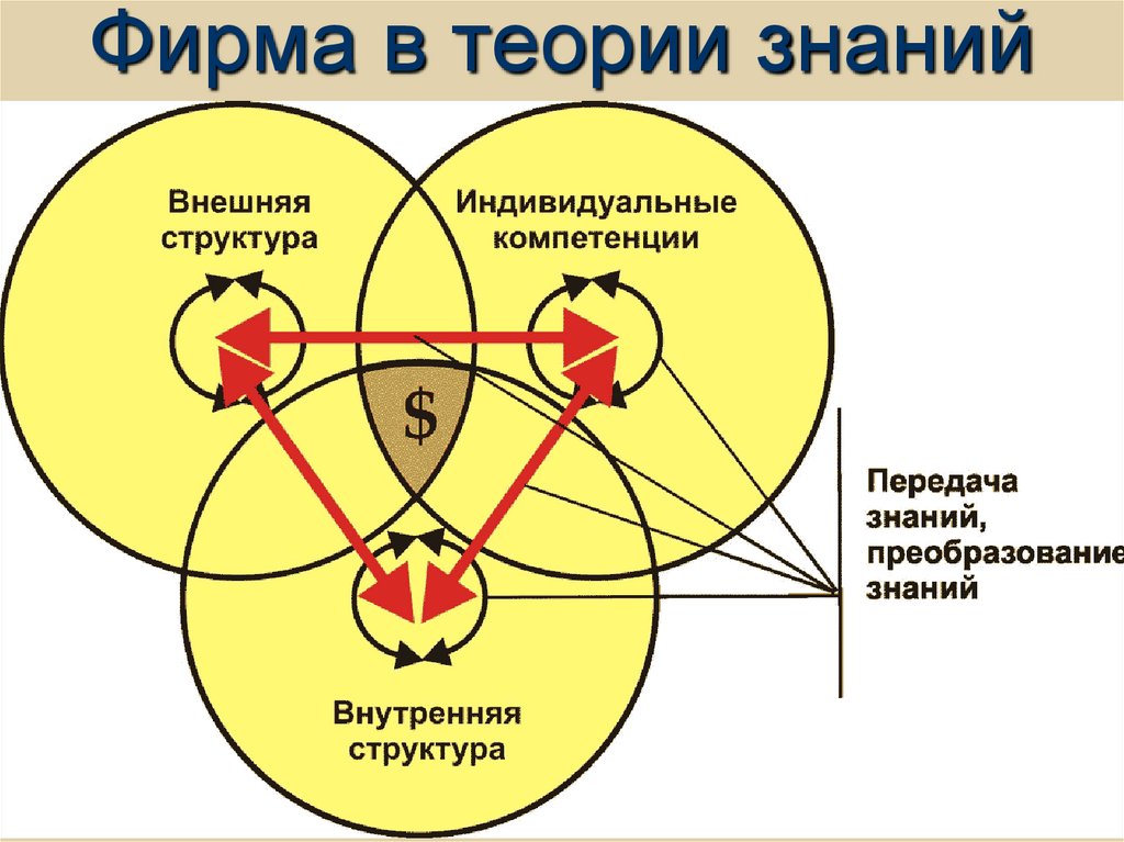 Фирма в теории знаний