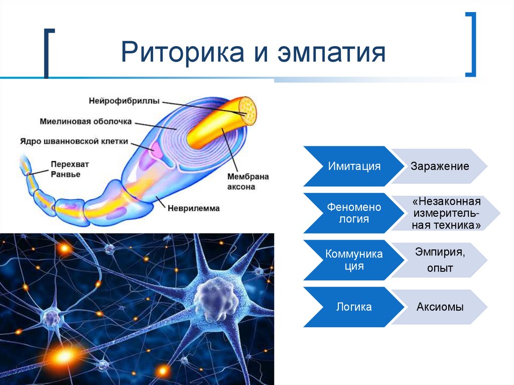 Риторика и эмпатия