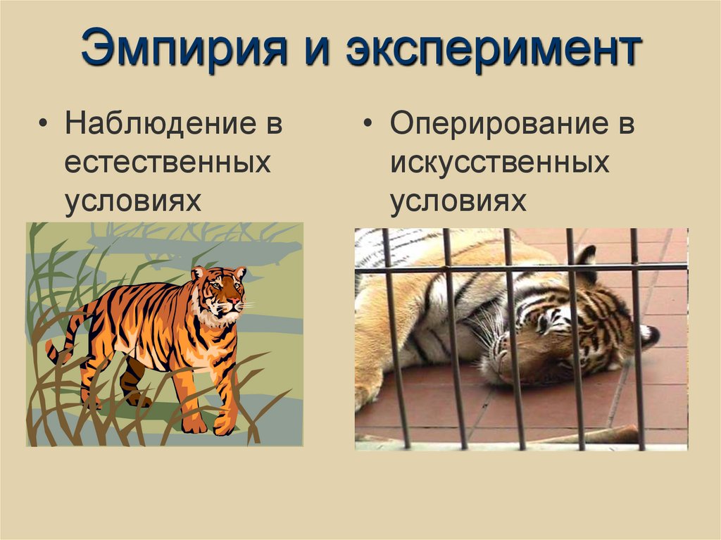 Эмпирия и эксперимент