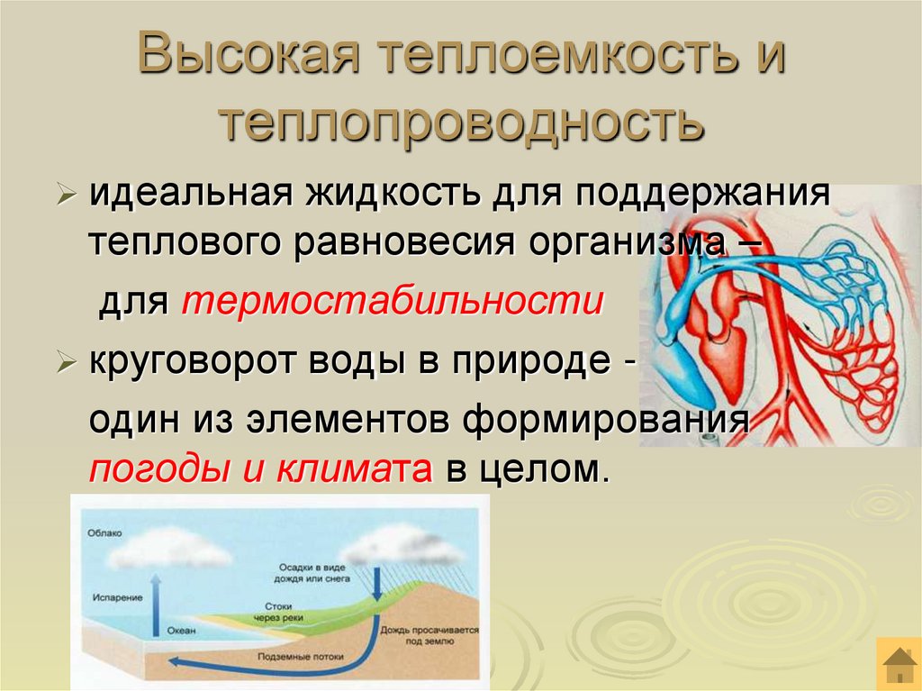 Высокая теплоемкость и теплопроводность