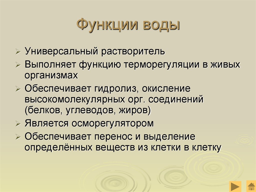 Функции воды