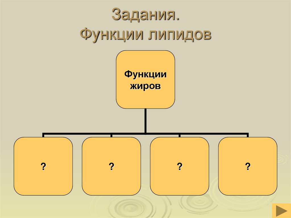 Функции липидов