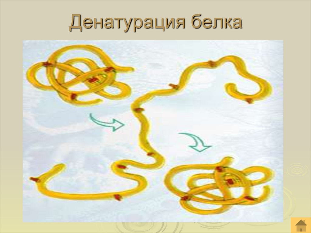 Денатурация белка