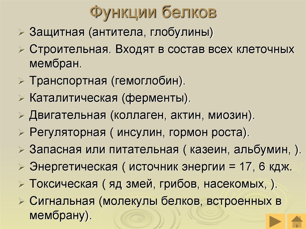 Функции белков