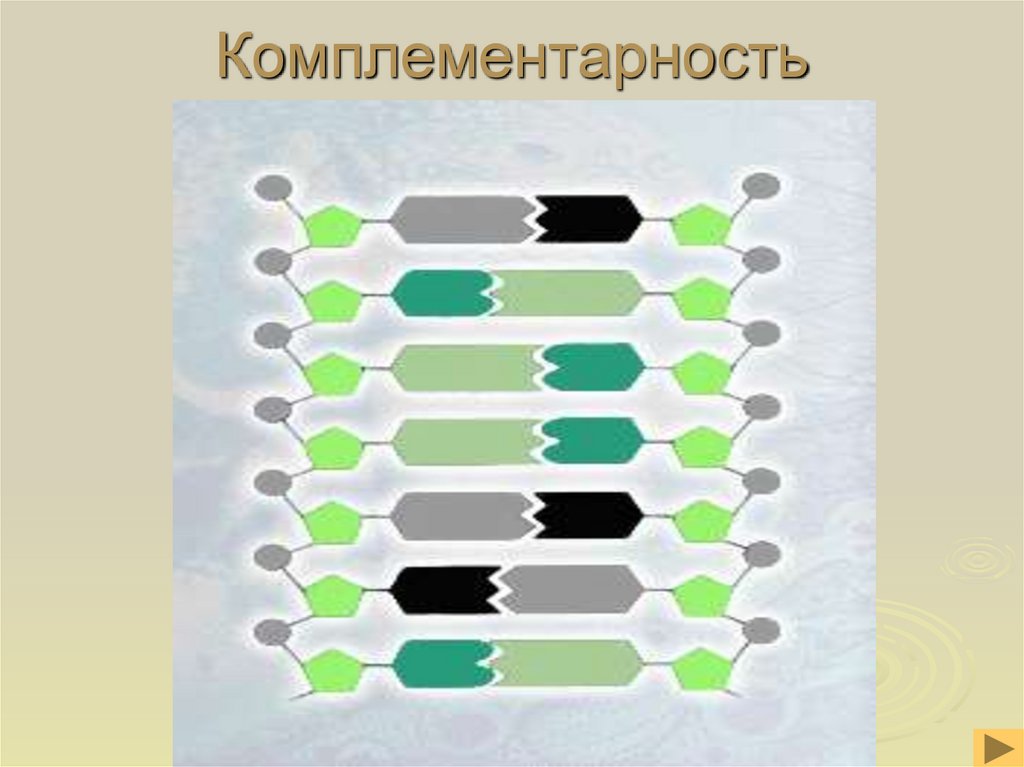 Комплементарность