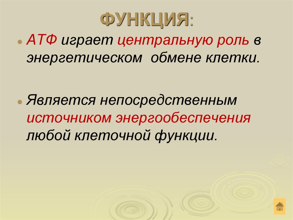 ФУНКЦИЯ: