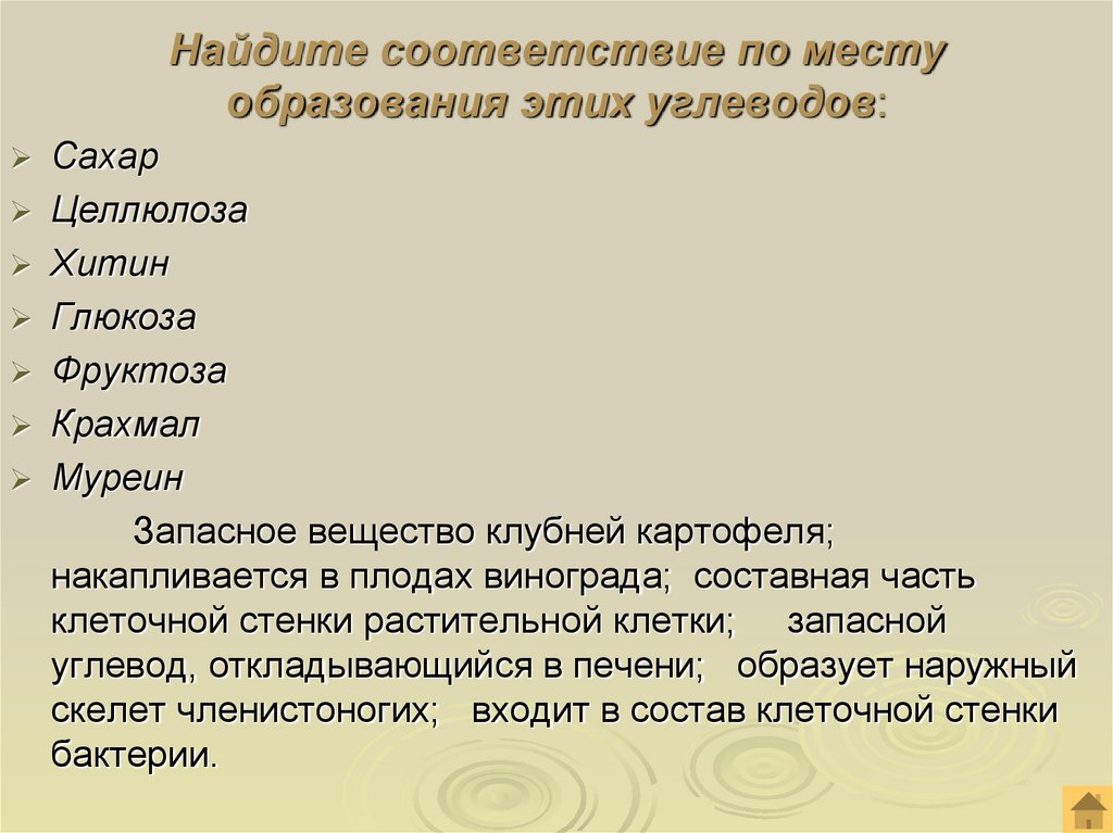Найдите соответствие по месту образования этих углеводов: