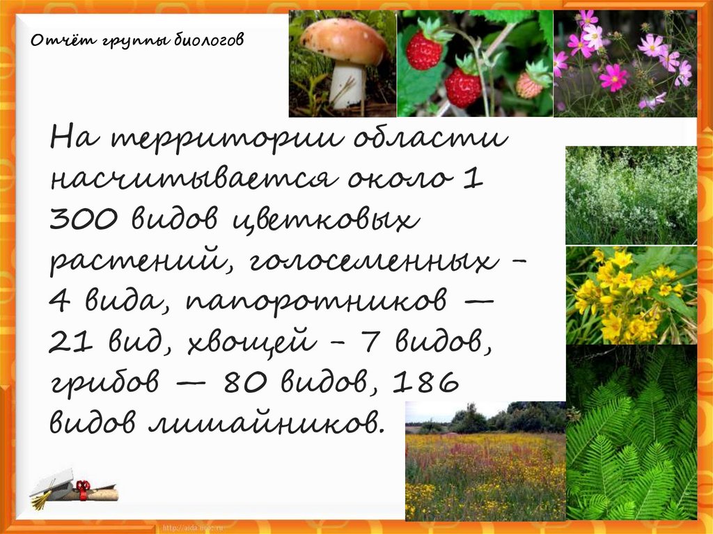 Отчёт группы биологов