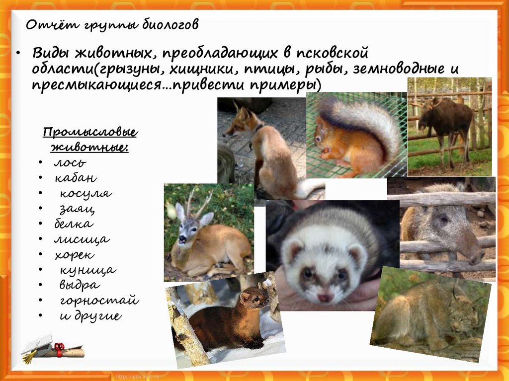 Отчёт группы биологов