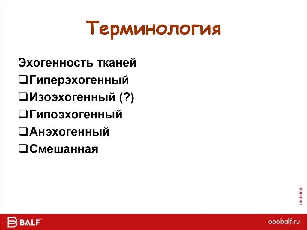 Терминология