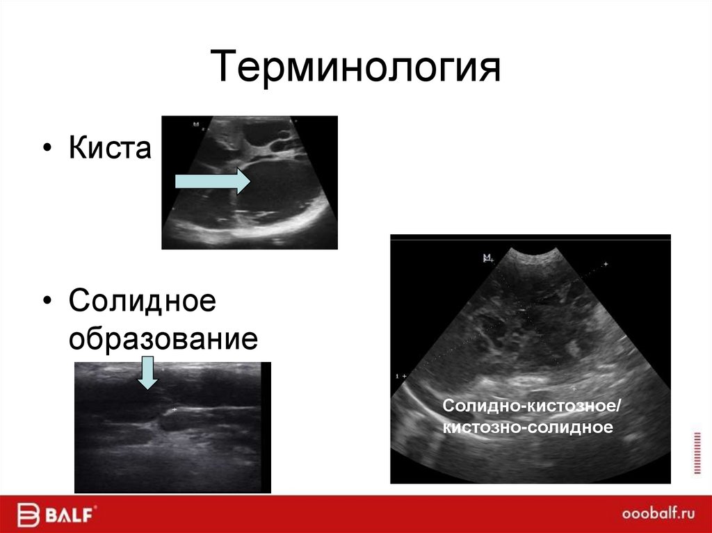 Терминология