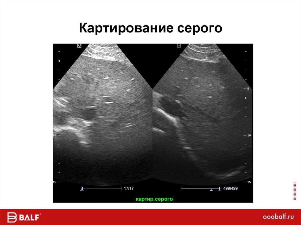 Картирование серого