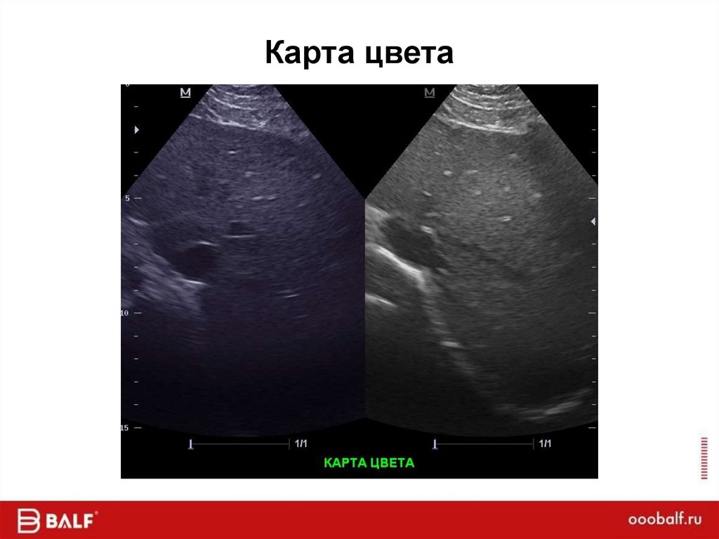 Карта цвета