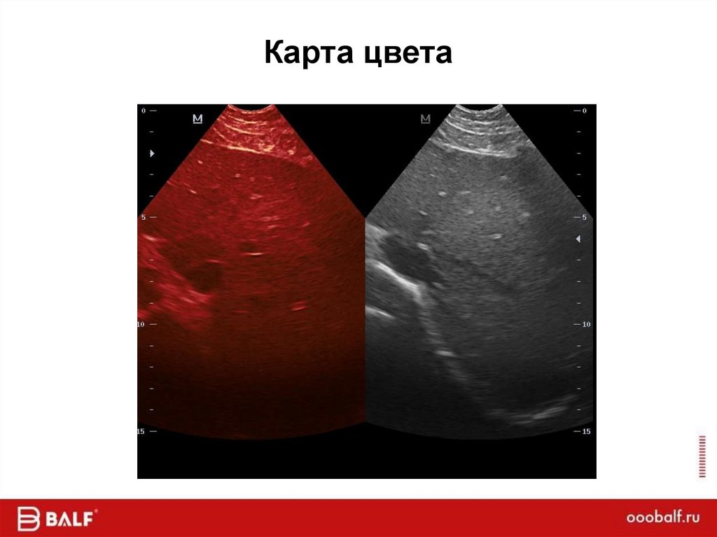 Карта цвета