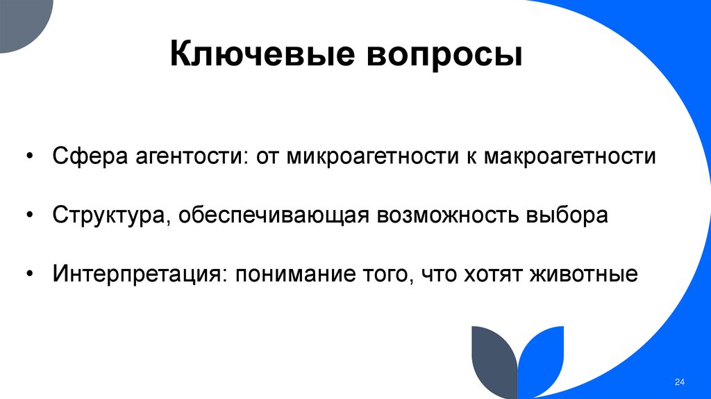 Ключевые вопросы