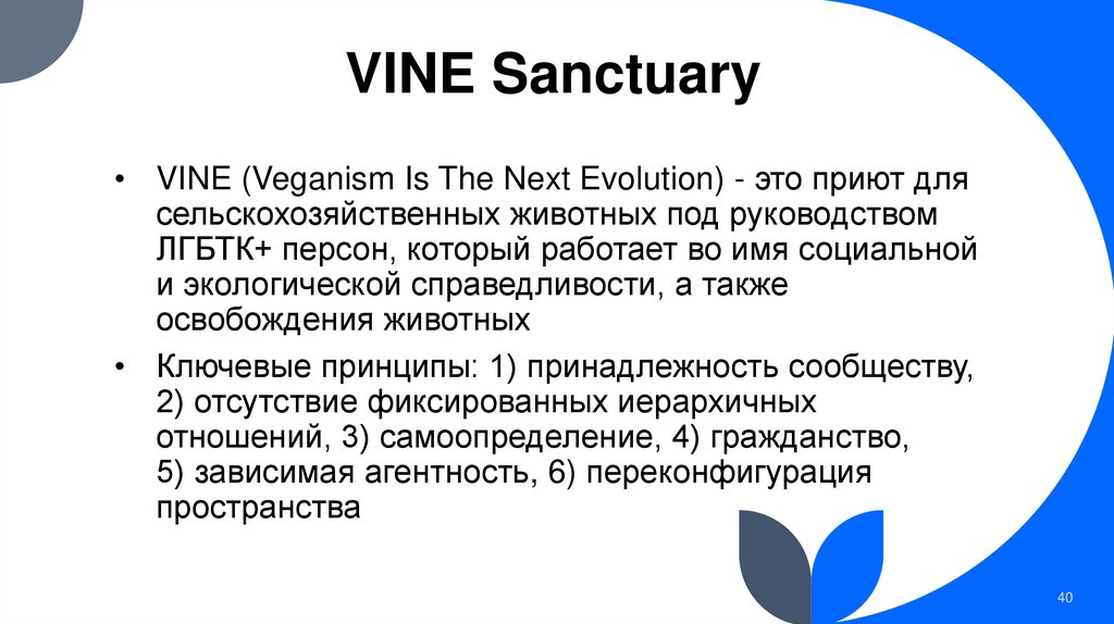 VINE Sanctuary