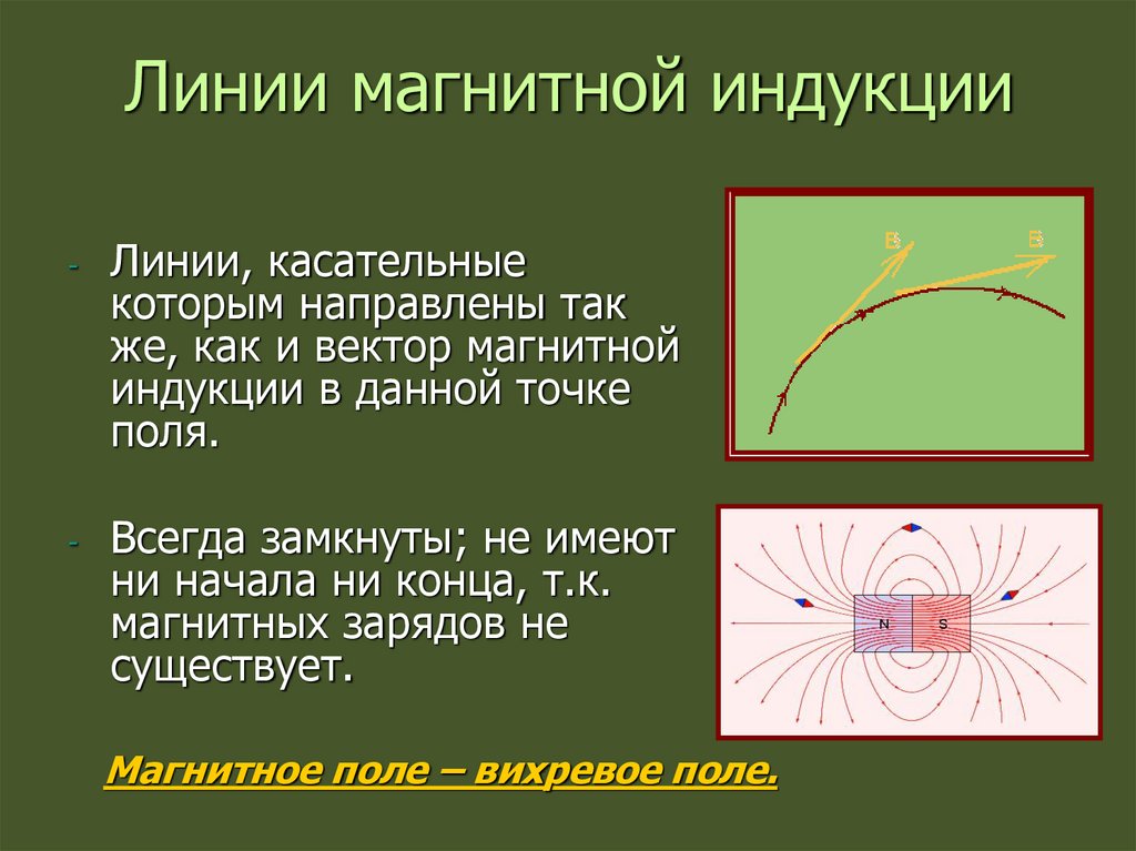 Линии магнитной индукции