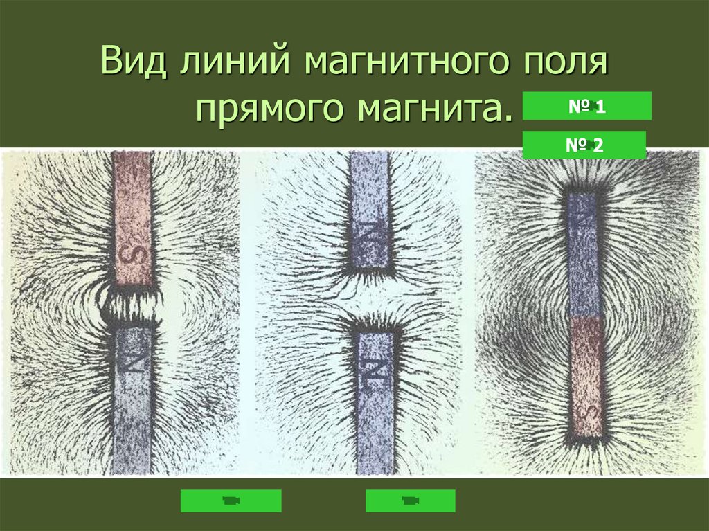 Вид линий магнитного поля прямого магнита.