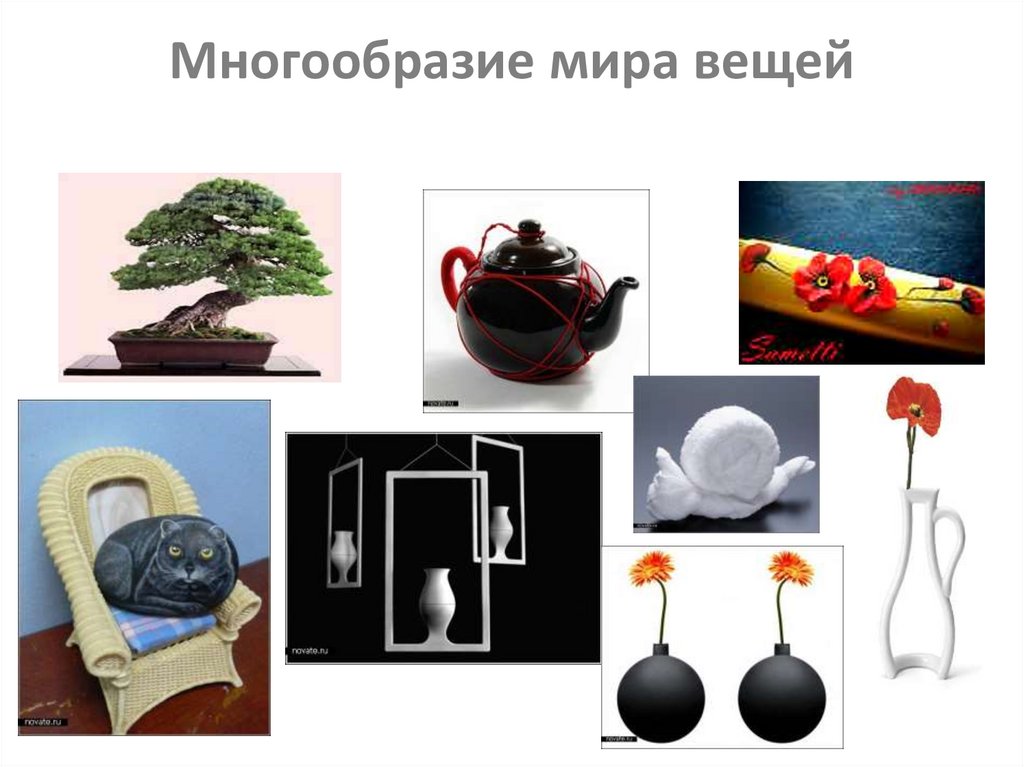 Многообразие мира вещей