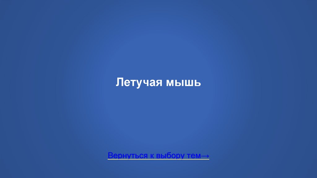 Летучая мышь