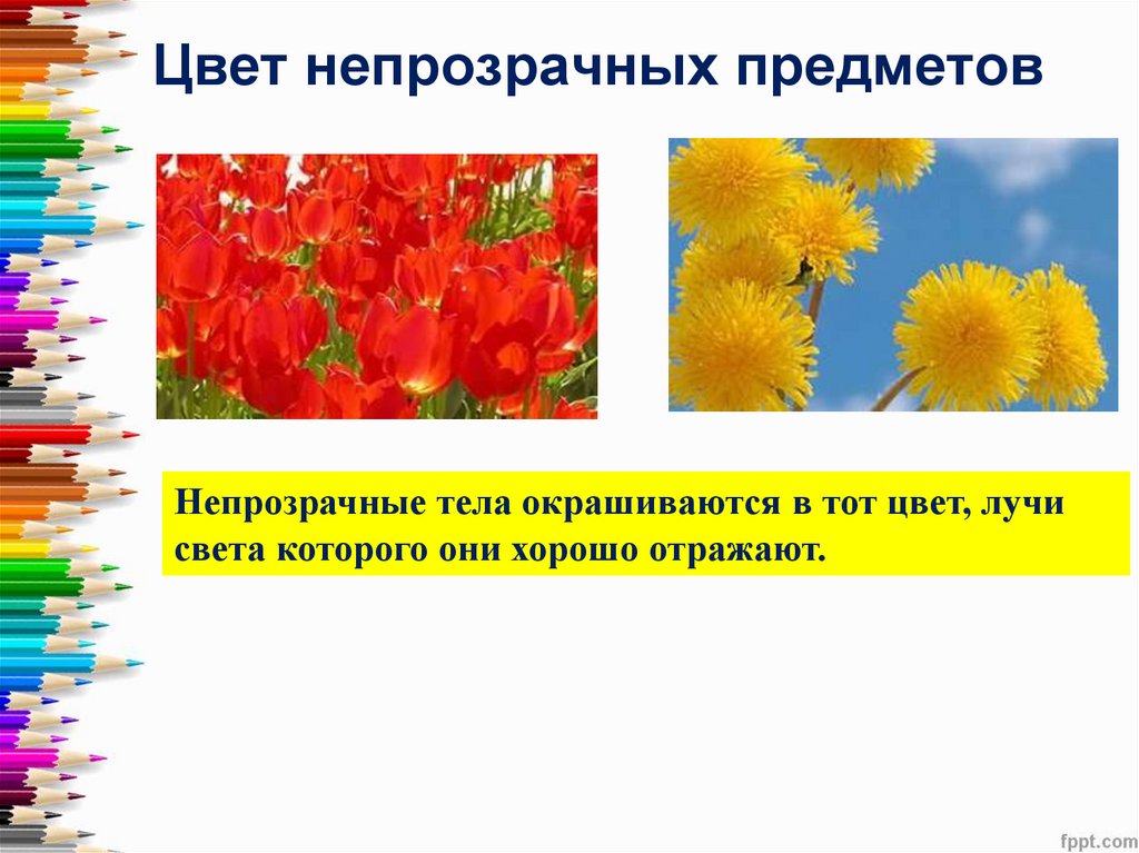 Цвет непрозрачных предметов