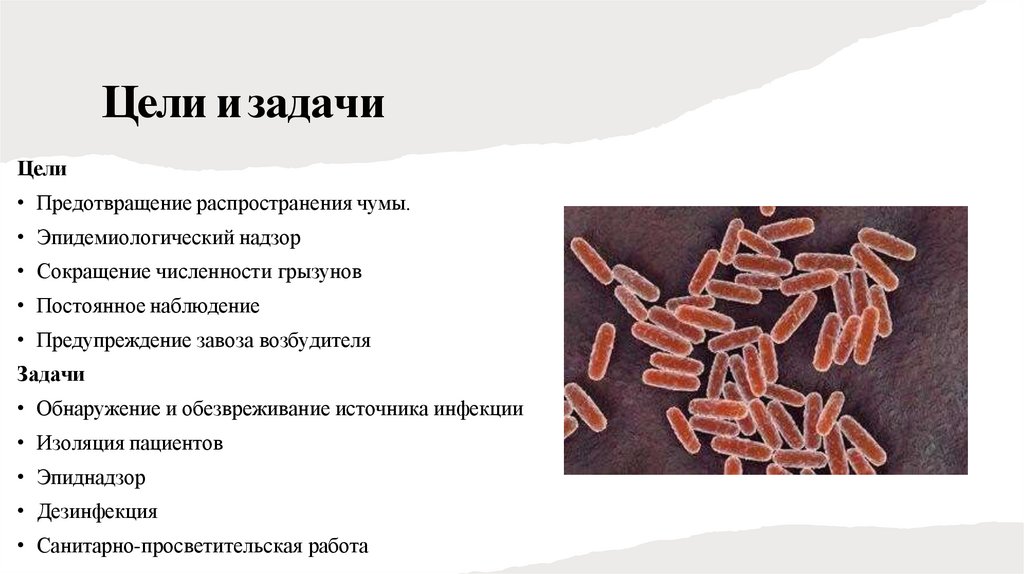 Цели и задачи