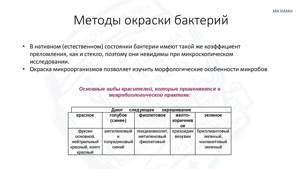 Методы окраски бактерий