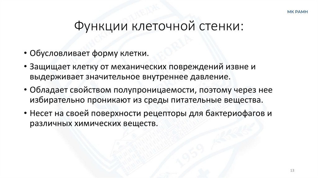 Функции клеточной стенки: